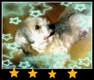 애타게찾고있습니다