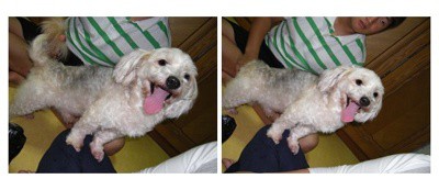 애타게찾고있습니다