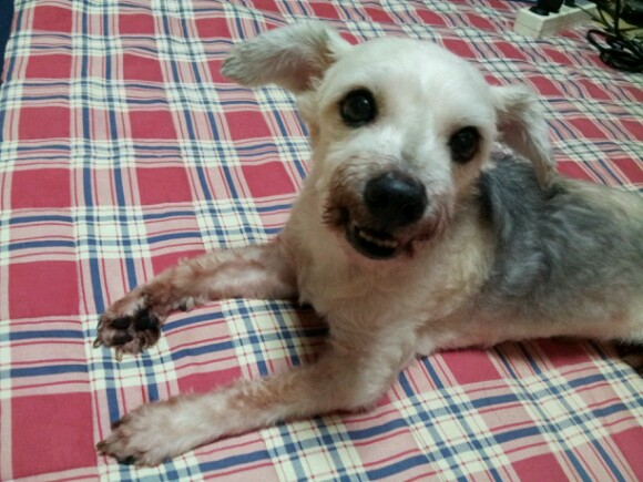 애타게찾고있습니다