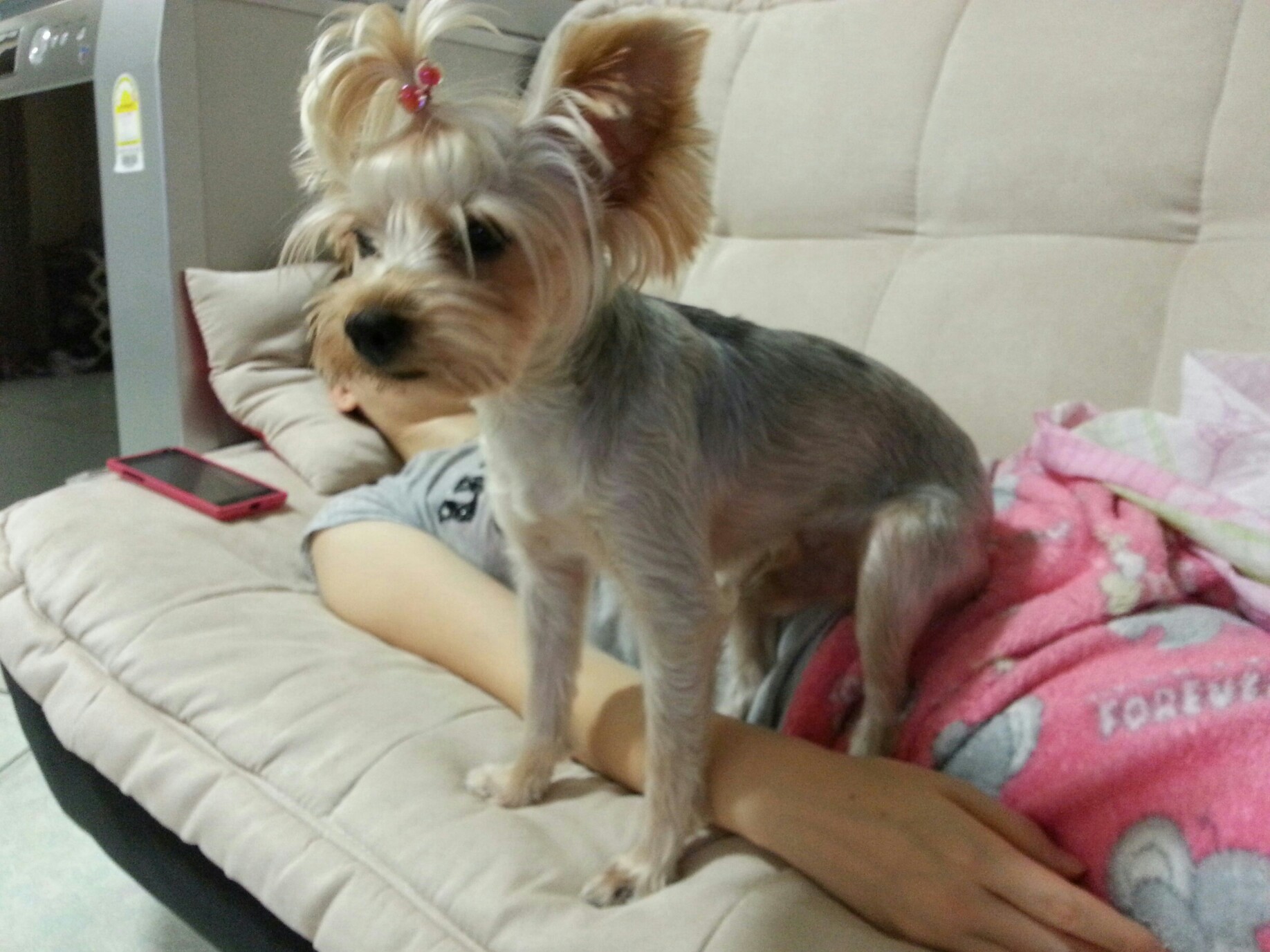 진주시 가좌동에서  사랑이찾아요