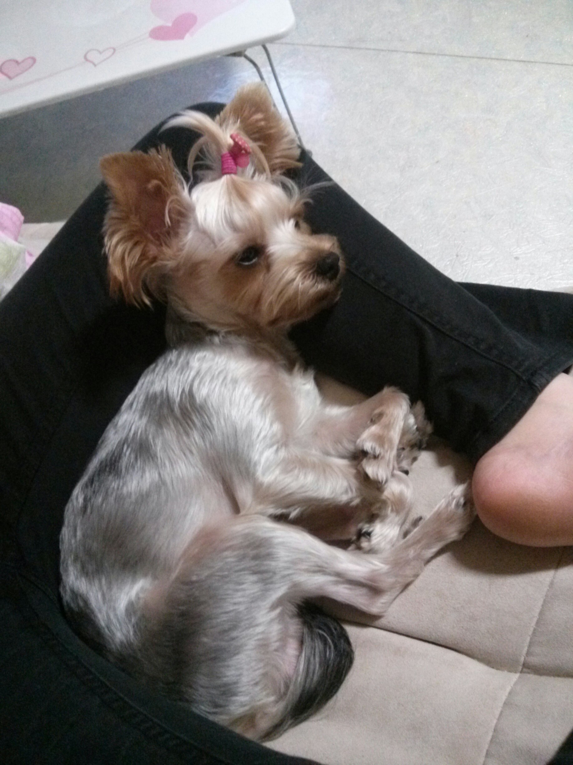 진주시 가좌동에서  사랑이찾아요