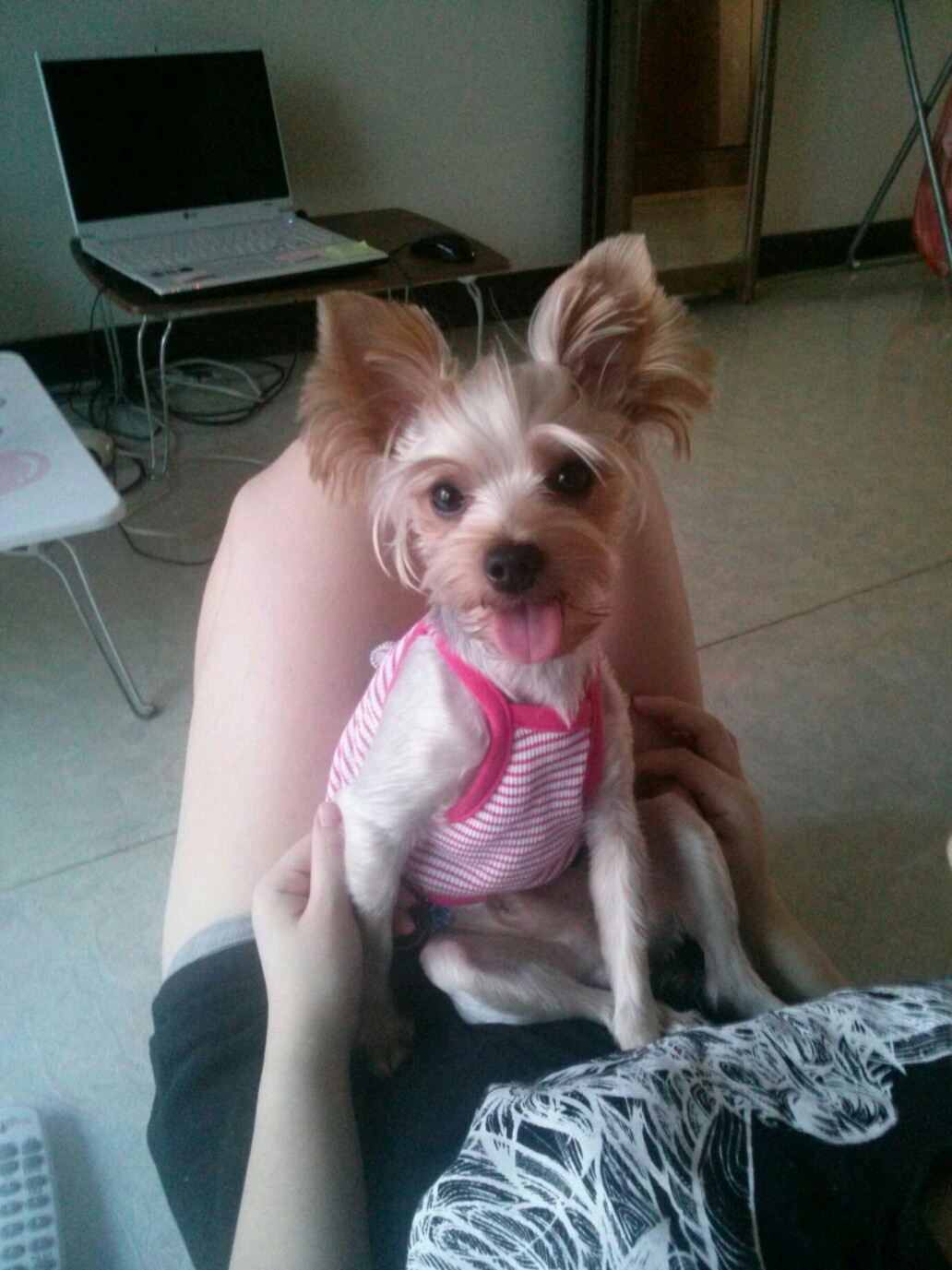 진주시 가좌동에서  사랑이찾아요