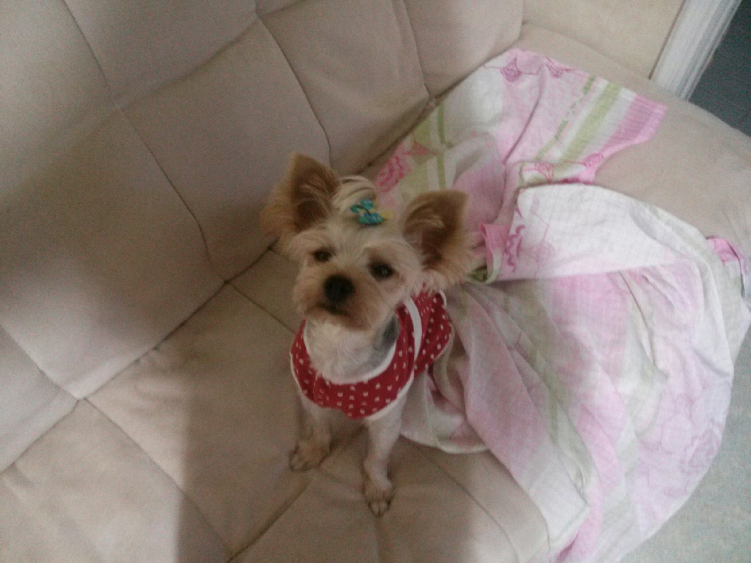 진주시 가좌동에서  사랑이찾아요