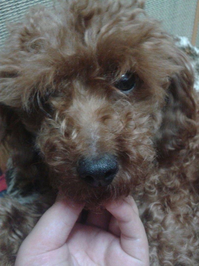 서울,성동구.배수지근처.9월24일.저녁7시...찾아주세요