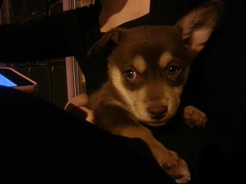 인천 신흥동쪽에서 발견되었습니다