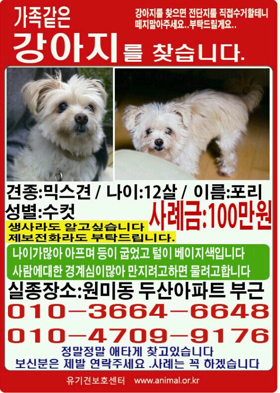 제 자식입니다. 사례금 100만원 ㅜ.ㅜ 부천