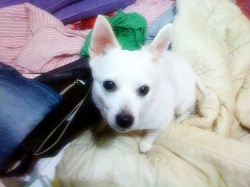 똘똘이를 찾아주세여