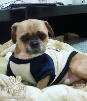 [D13-28관외]출근길 전철역에서 배회하던 누리