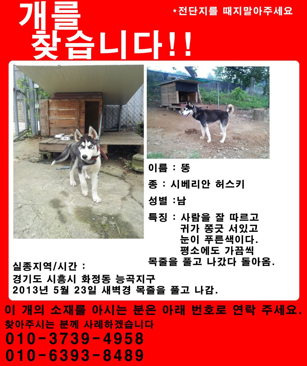 개를 찾아주세요.