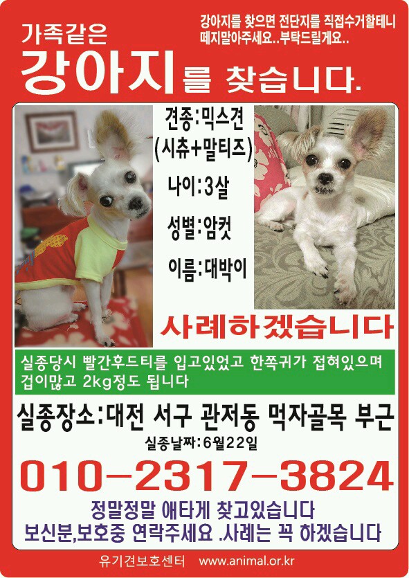 대전 서구 관저동에서