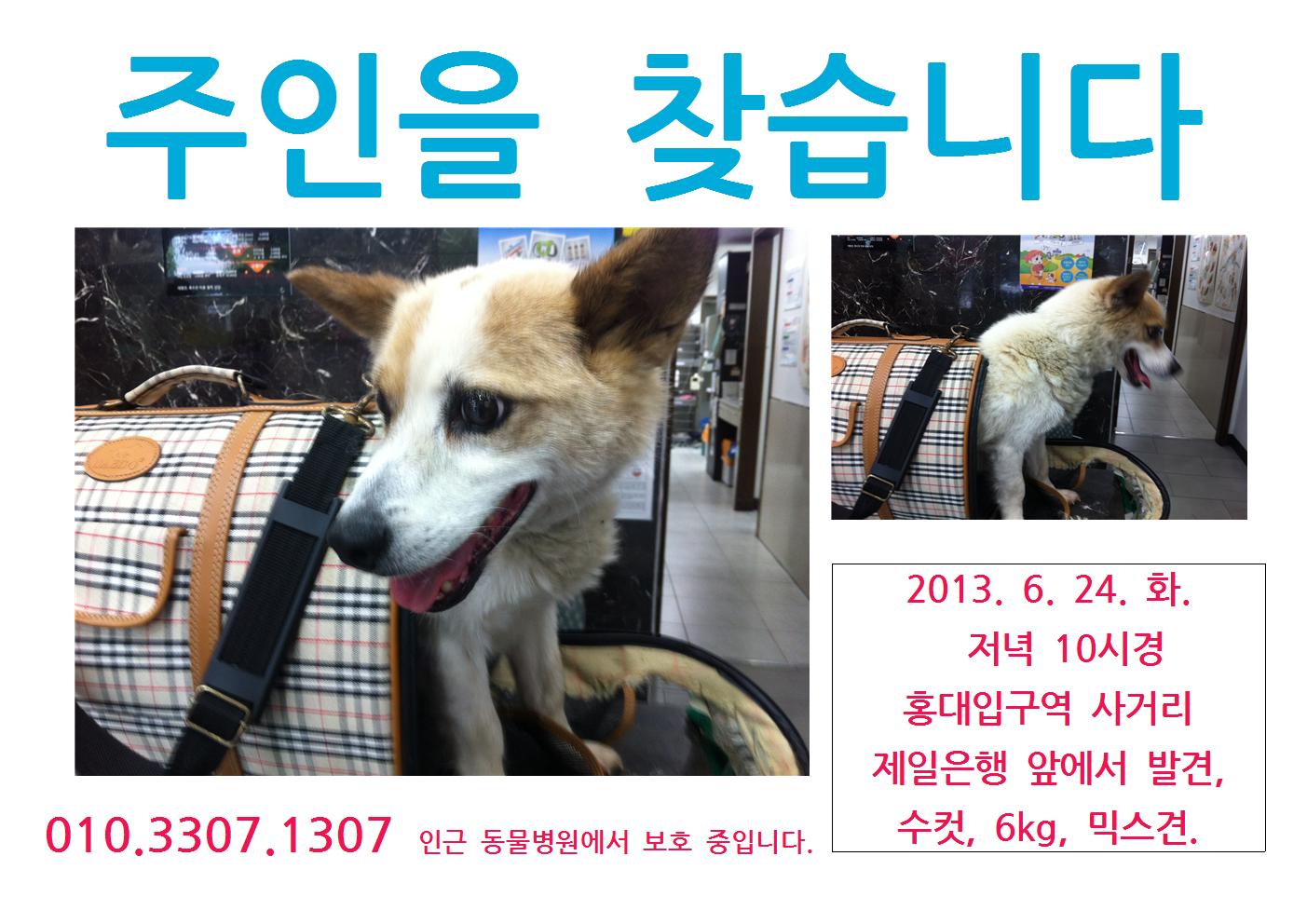 서울/홍대/믹스견/수컷/6kg/주인을 찾습니다.