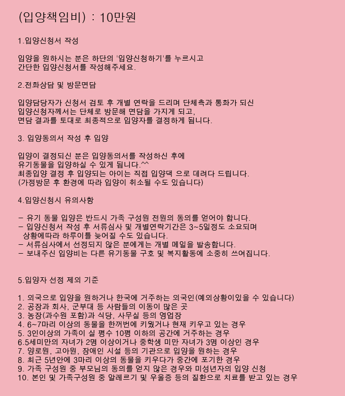 [D13-33관외]현관앞에 버려져 있던 아기냥이들