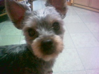 단지좀 찾아 주세요..