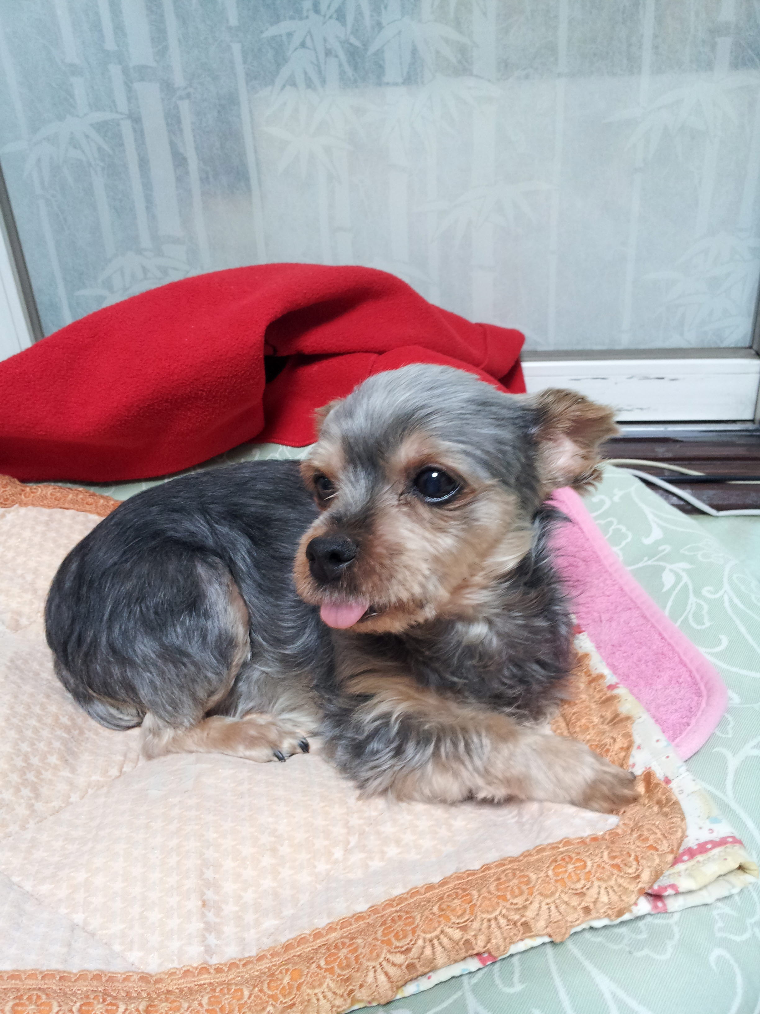 단지좀 찾아 주세요..