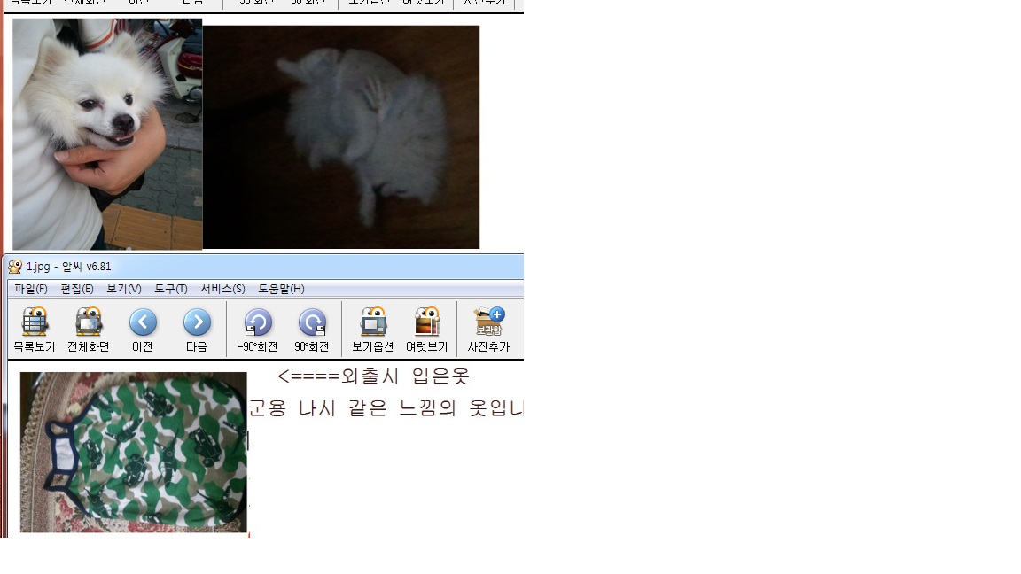 저페니즈스피츠 성남시 수정구 태평동 봉국사 주변