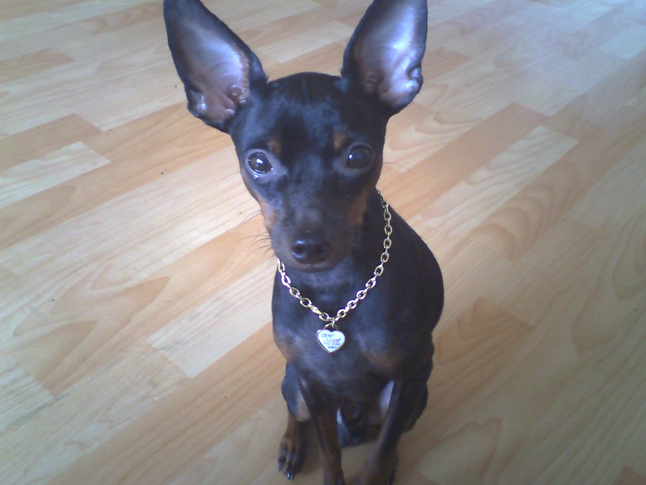 우리 행복이 좀 찾아주세요