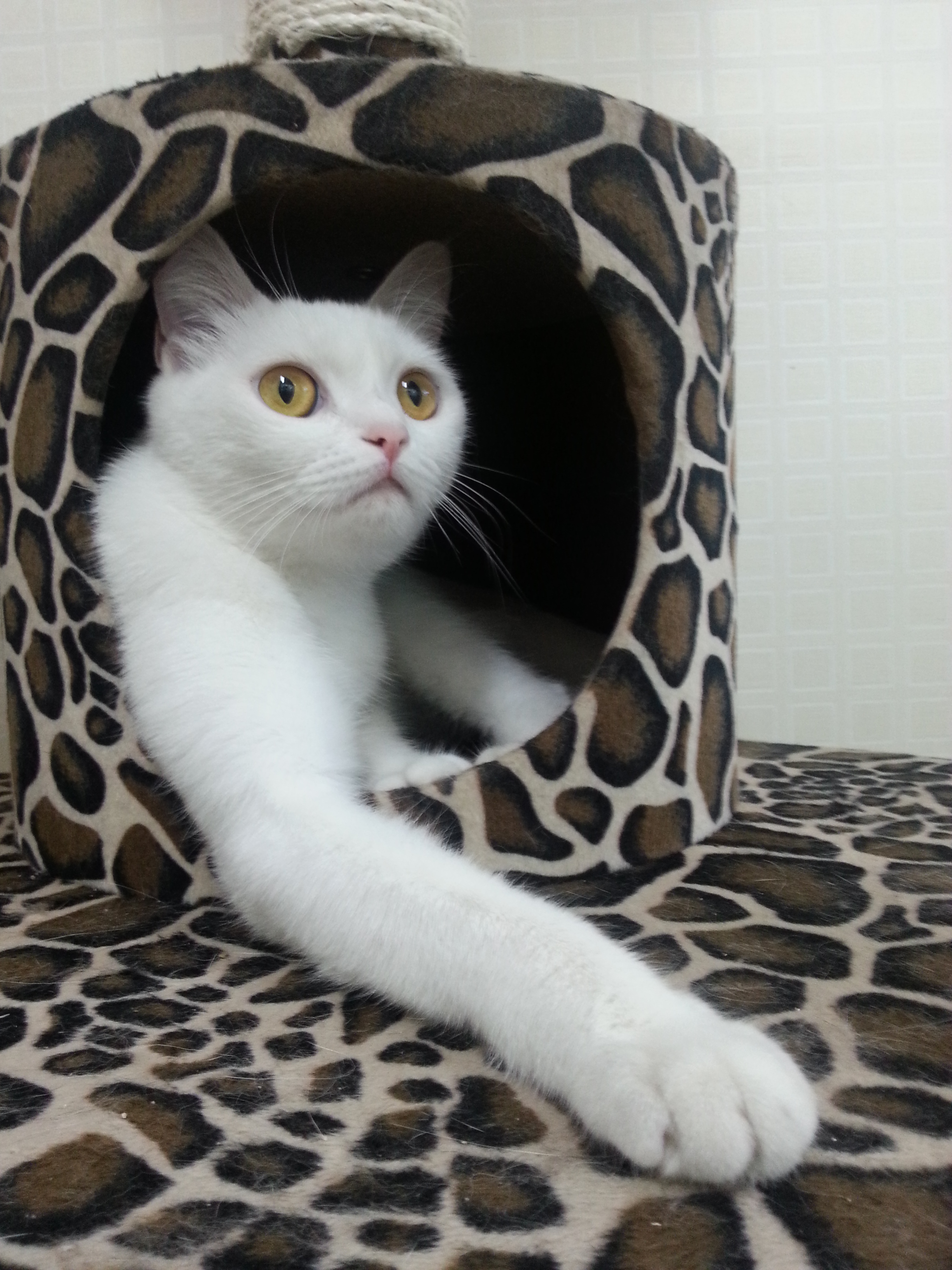 터앙 여자아이 보호중입니다