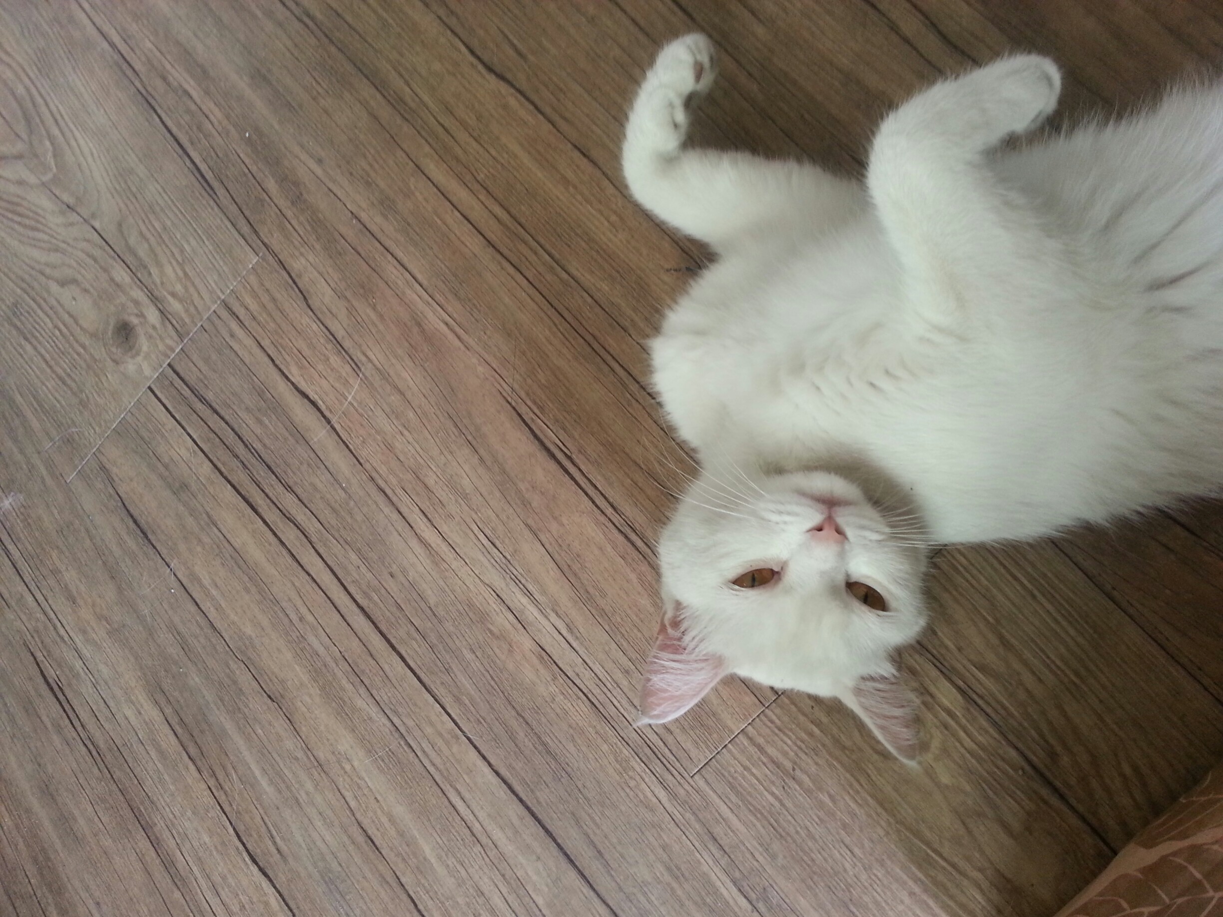 터앙 여자아이 보호중입니다