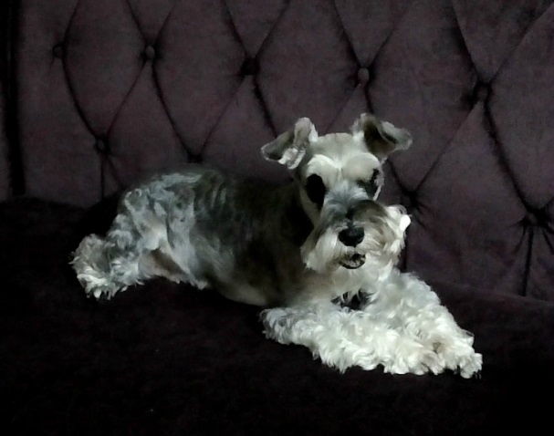 은비를 찾습니다.