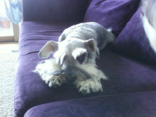 은비를 찾습니다.