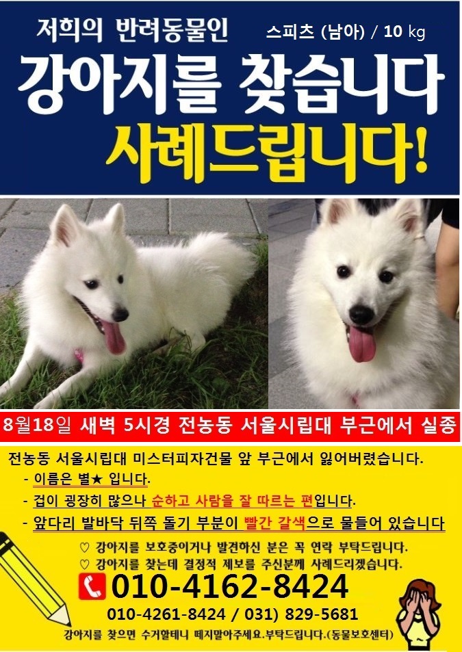 동대문구 전농동 서울시립대 근방 스피츠/남아 10kg 