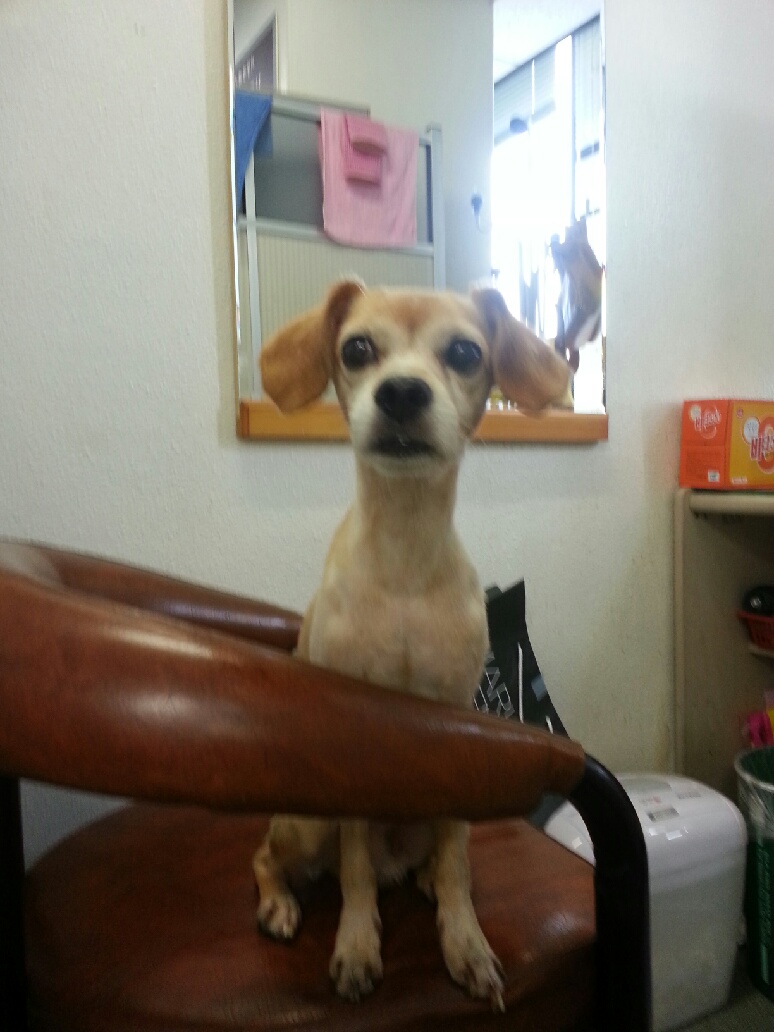 인천 남구 주안동.. (찾았습니다!!!)