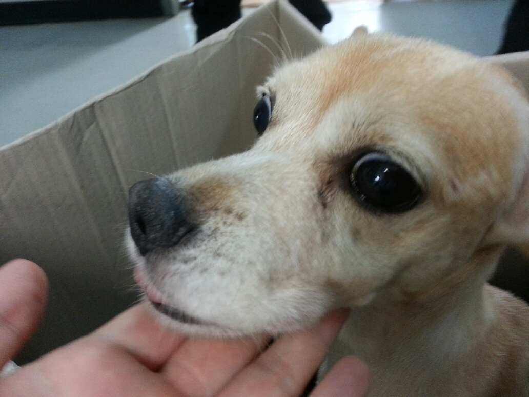 인천 남구 주안동.. (찾았습니다!!!)