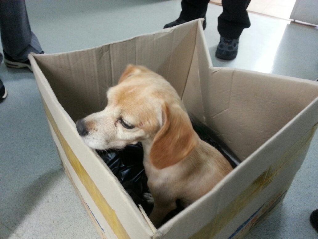 인천 남구 주안동.. (찾았습니다!!!)