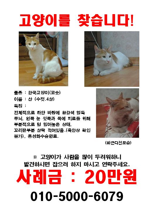 대구시 달서구 두류동>실종 21일째 산이 찾습니다.