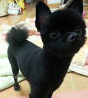 깨복이를 찾아주세요