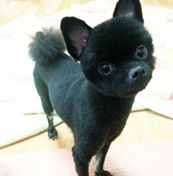 깨복이를 찾아주세요