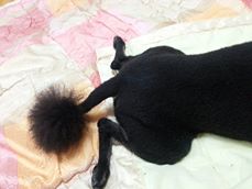 깨복이를 찾아주세요