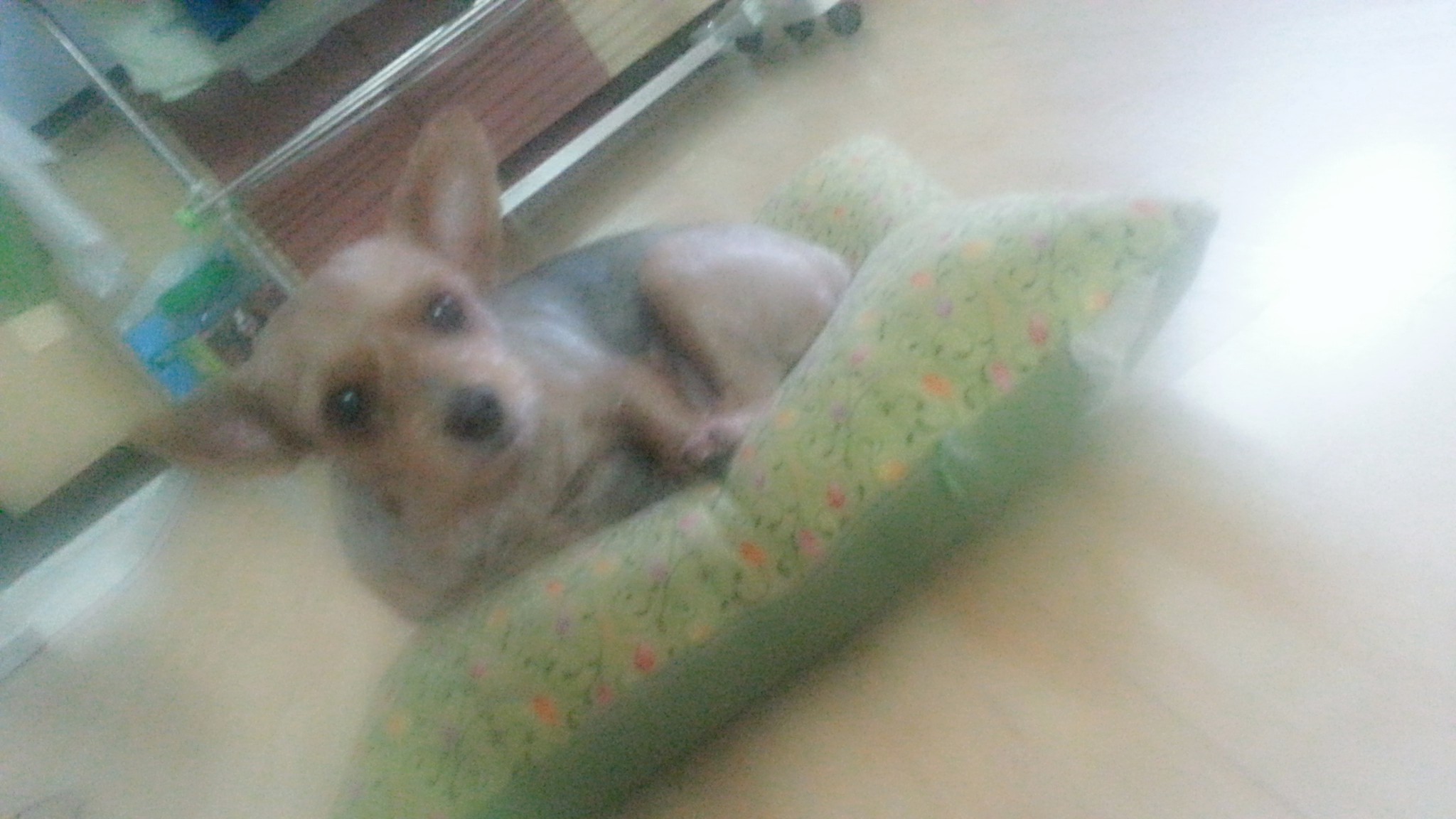 11월4일 저녁 8시30분경 동대문구 시립대부근