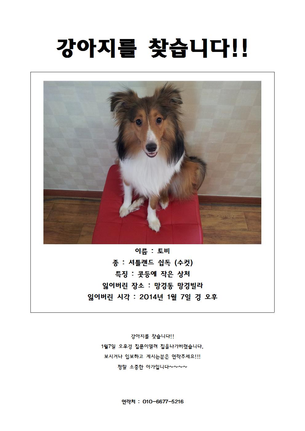 토비를 찾아주세요....