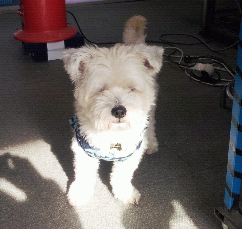 경북 구미시 지산동 가게앞에서 사라졌습니다