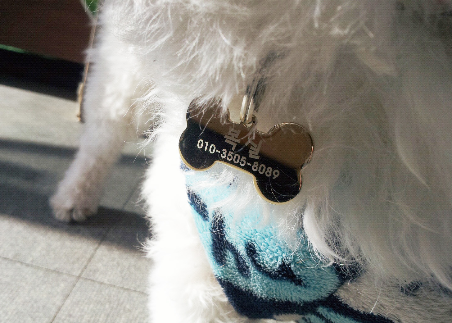 경북 구미시 지산동 가게앞에서 사라졌습니다