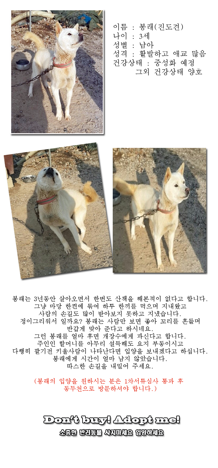 [D14-04관외] 개장수에게 팔려갈 위기에 있는 봉래