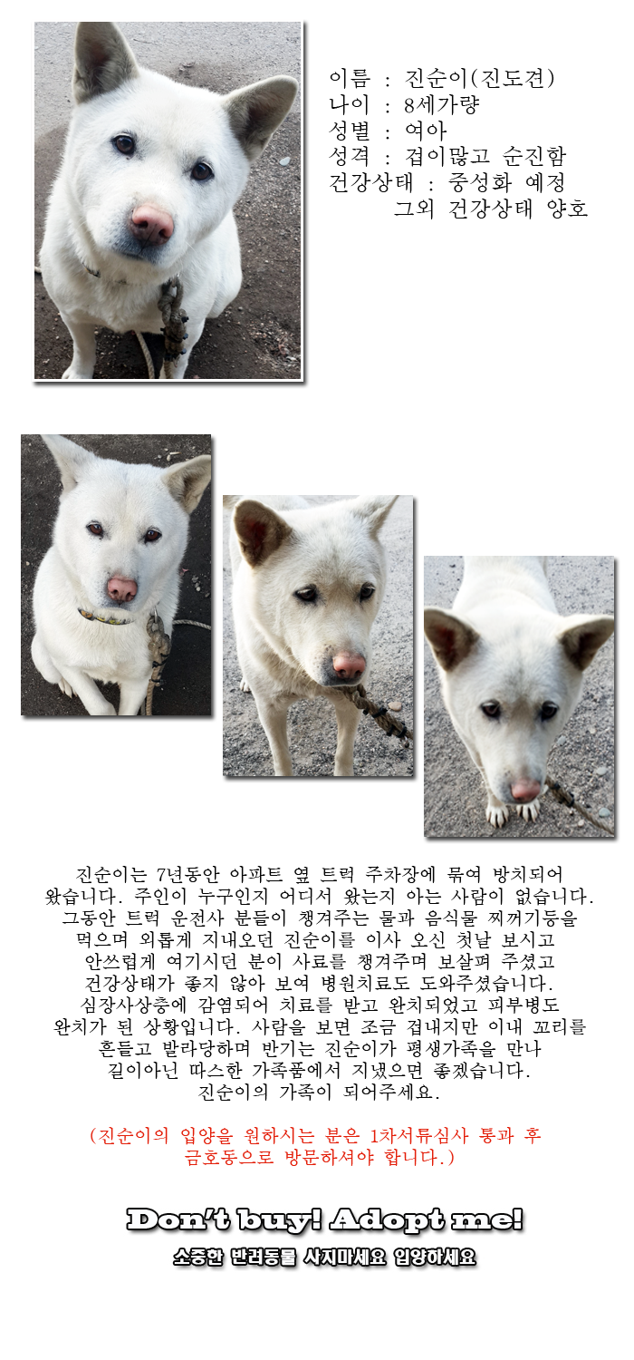 [D14-06관외] 트럭주차장에서 방치당하던 진순이