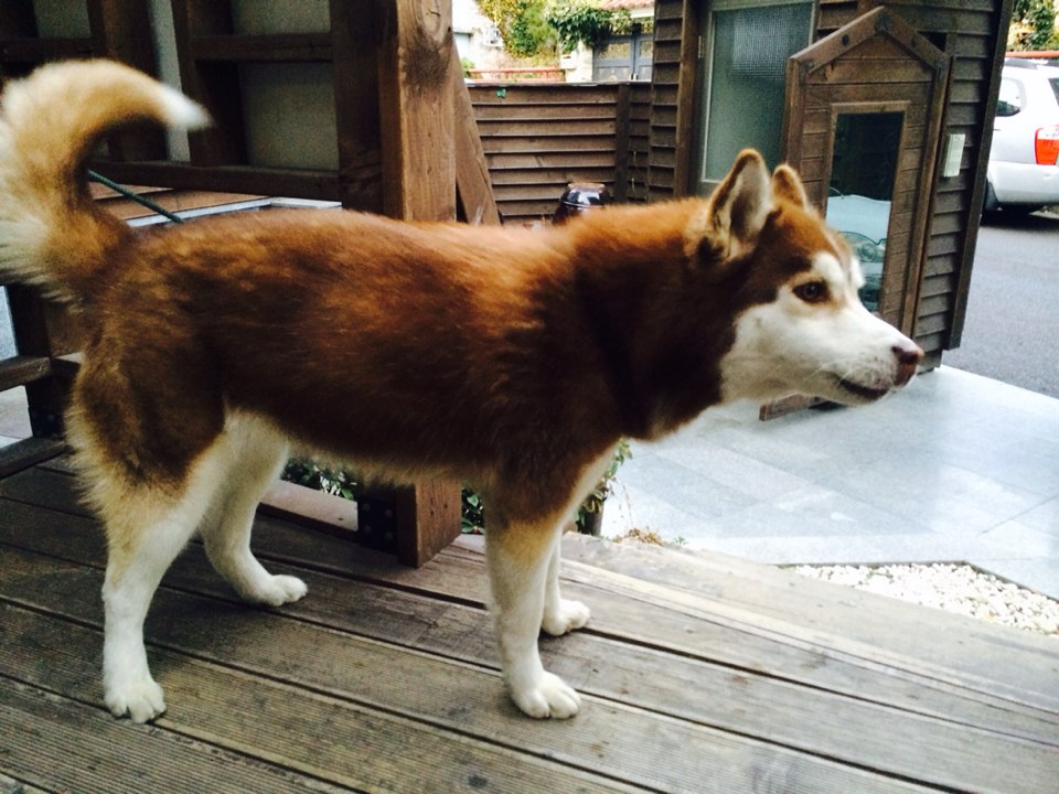 제 딸을 찾아주세요.