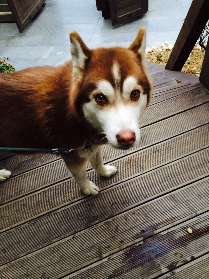 제 딸을 찾아주세요.