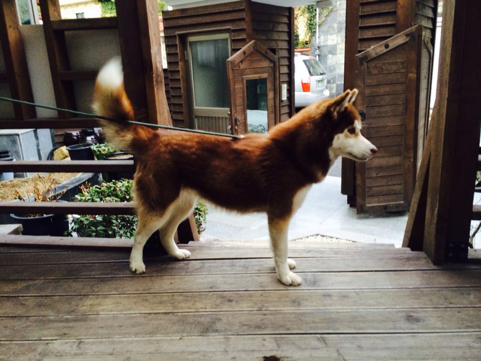 제 딸을 찾아주세요.