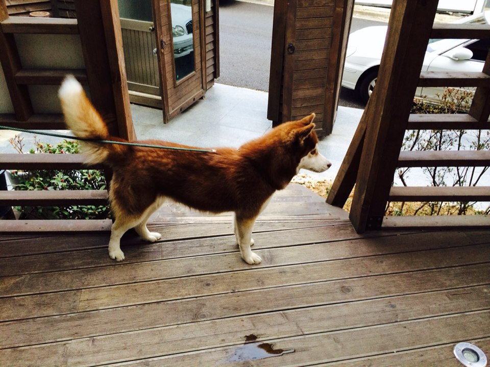 제 딸을 찾아주세요.