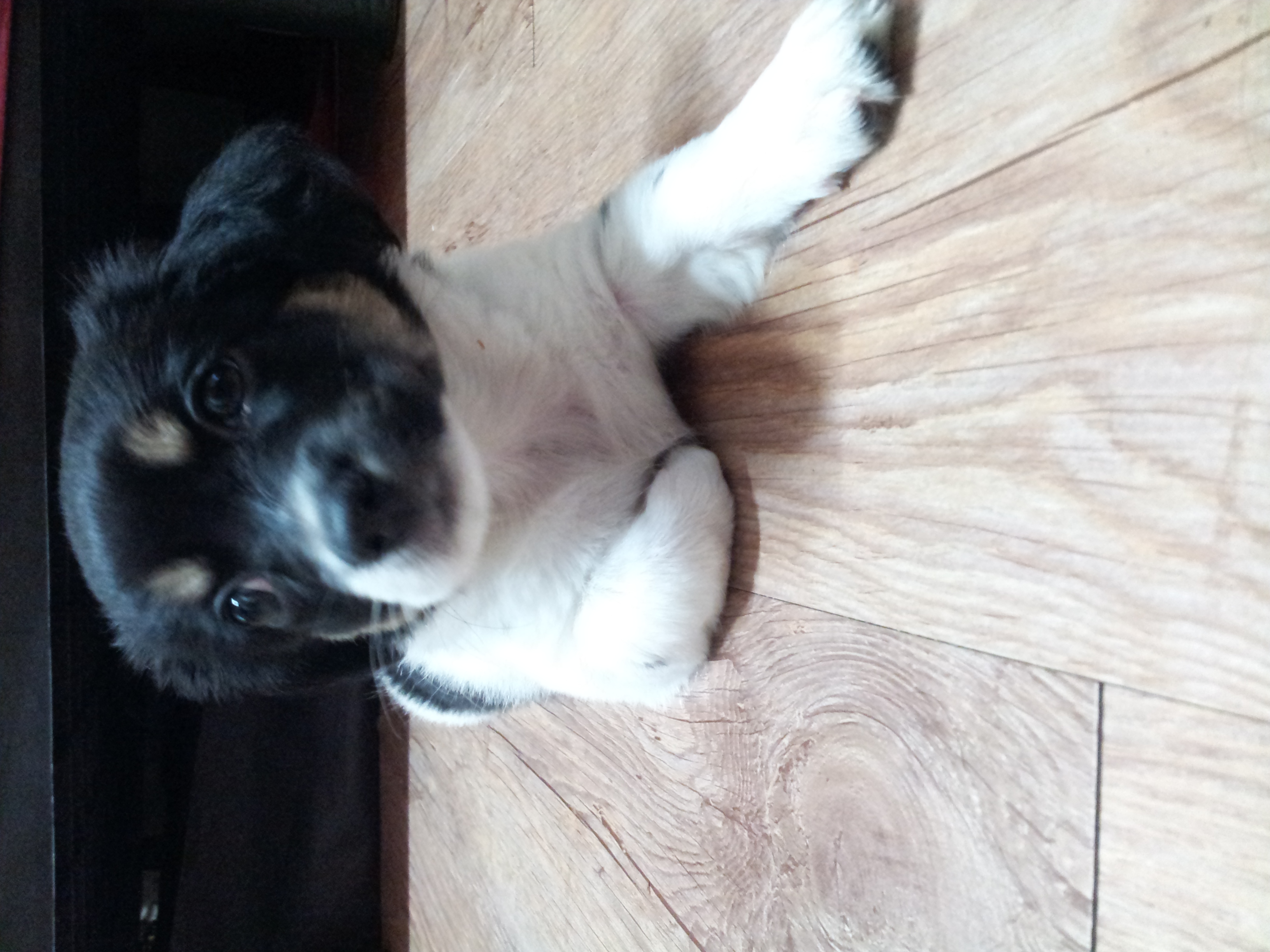 서울 서대문구 창천동 및 신촌