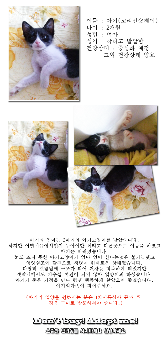 [D14-14관외]아사직전에 구조된 아기