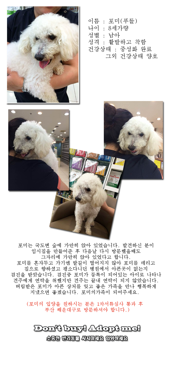 [D14-15관외]국도변 숲에 버려진 포미