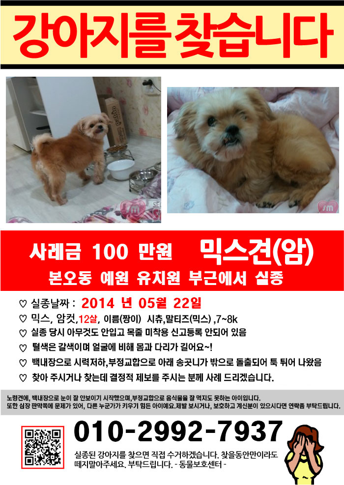 [안산본오동]짱이를 찾습니다.