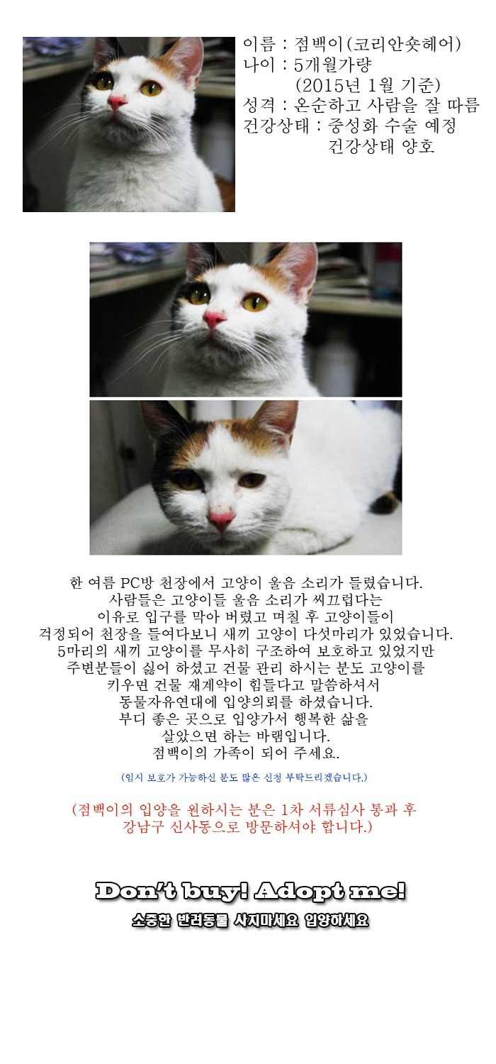 [D15-05관외]PC방 천장에서 구조 된 점백이