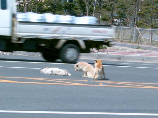 퍼온 사진