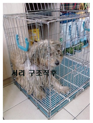 [D08-023관]복있는 복순이 = 입양예정