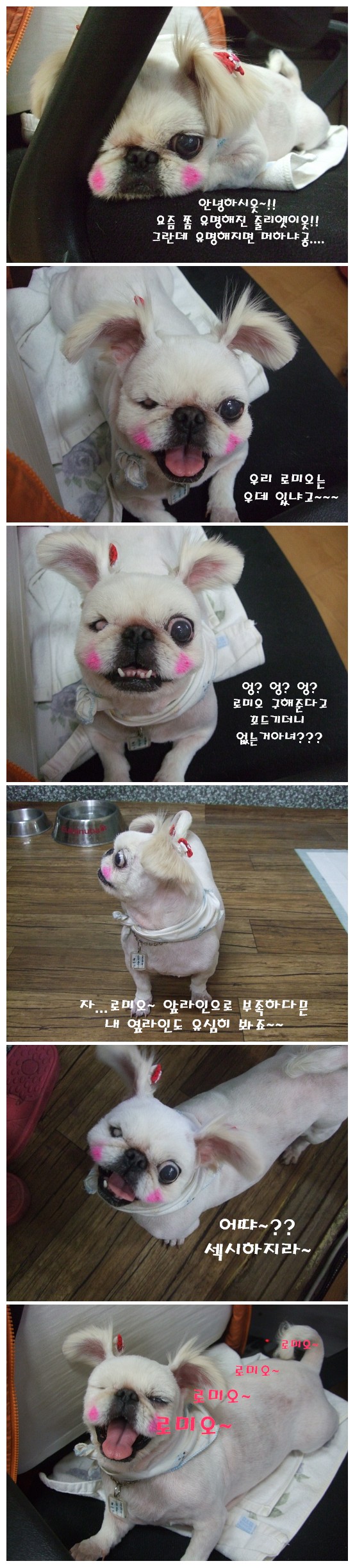 [D09-009관] 못생겨서 서러운 줄리엣 공주님~